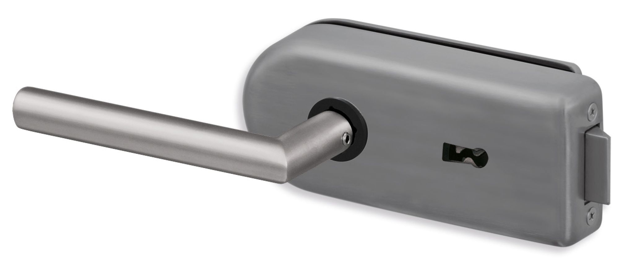 Glastürschloss Modell classic in Edelstahl